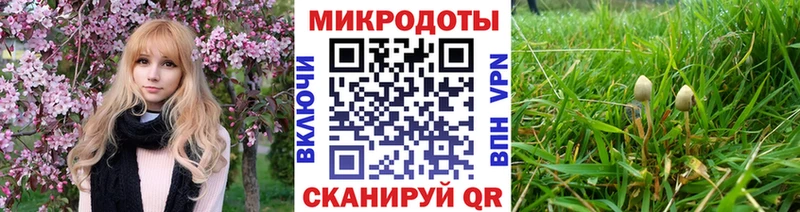 Псилоцибиновые грибы Magic Shrooms  omg маркетплейс  Калининск 